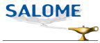 Logo de Salomo 3.2.6