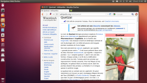 Le quetzal, un oiseau tropical d'Amérique centrale, est le nom de code de développement d'Ubuntu 12.10.